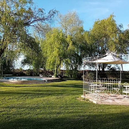Antico Casale Dei Sogni Agriturismo ลูโก ภายนอก รูปภาพ