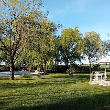 Antico Casale Dei Sogni Agriturismo ลูโก ภายนอก รูปภาพ