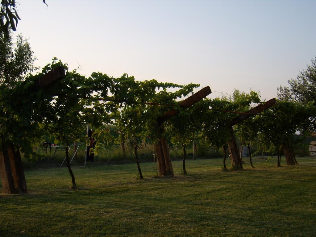 Antico Casale Dei Sogni Agriturismo ลูโก ภายนอก รูปภาพ