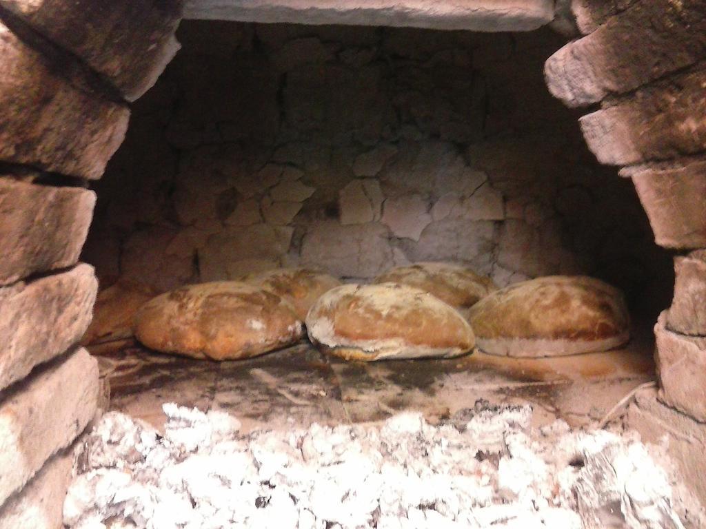 Antico Casale Dei Sogni Agriturismo ลูโก ภายนอก รูปภาพ