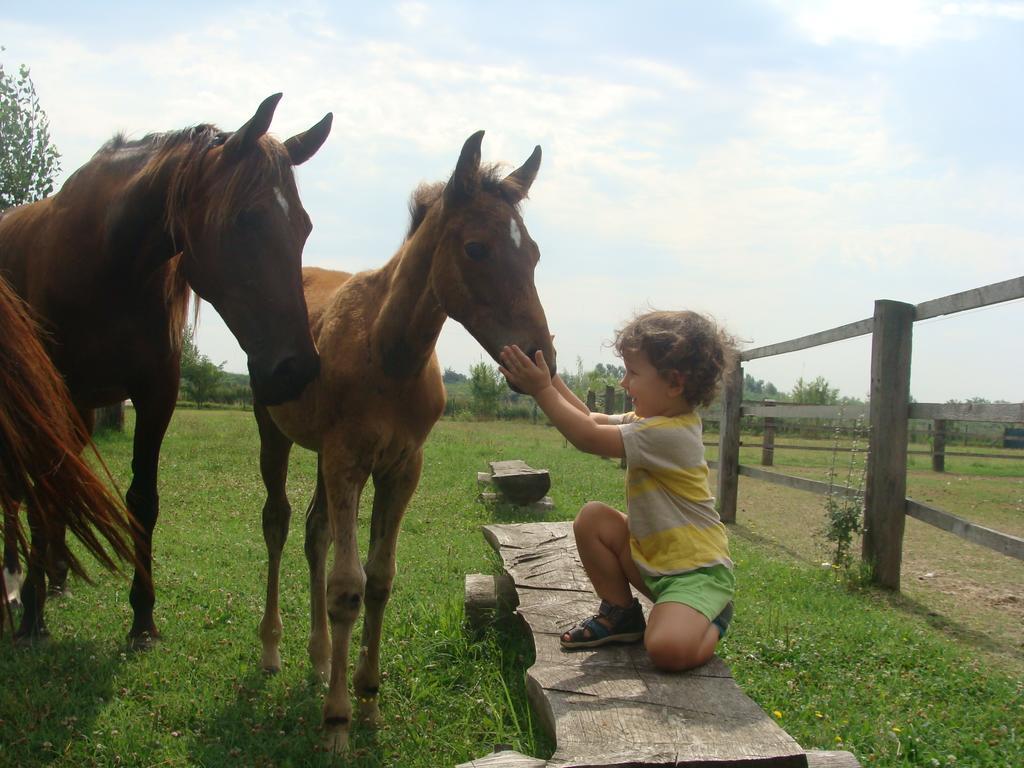 Antico Casale Dei Sogni Agriturismo ลูโก ภายนอก รูปภาพ