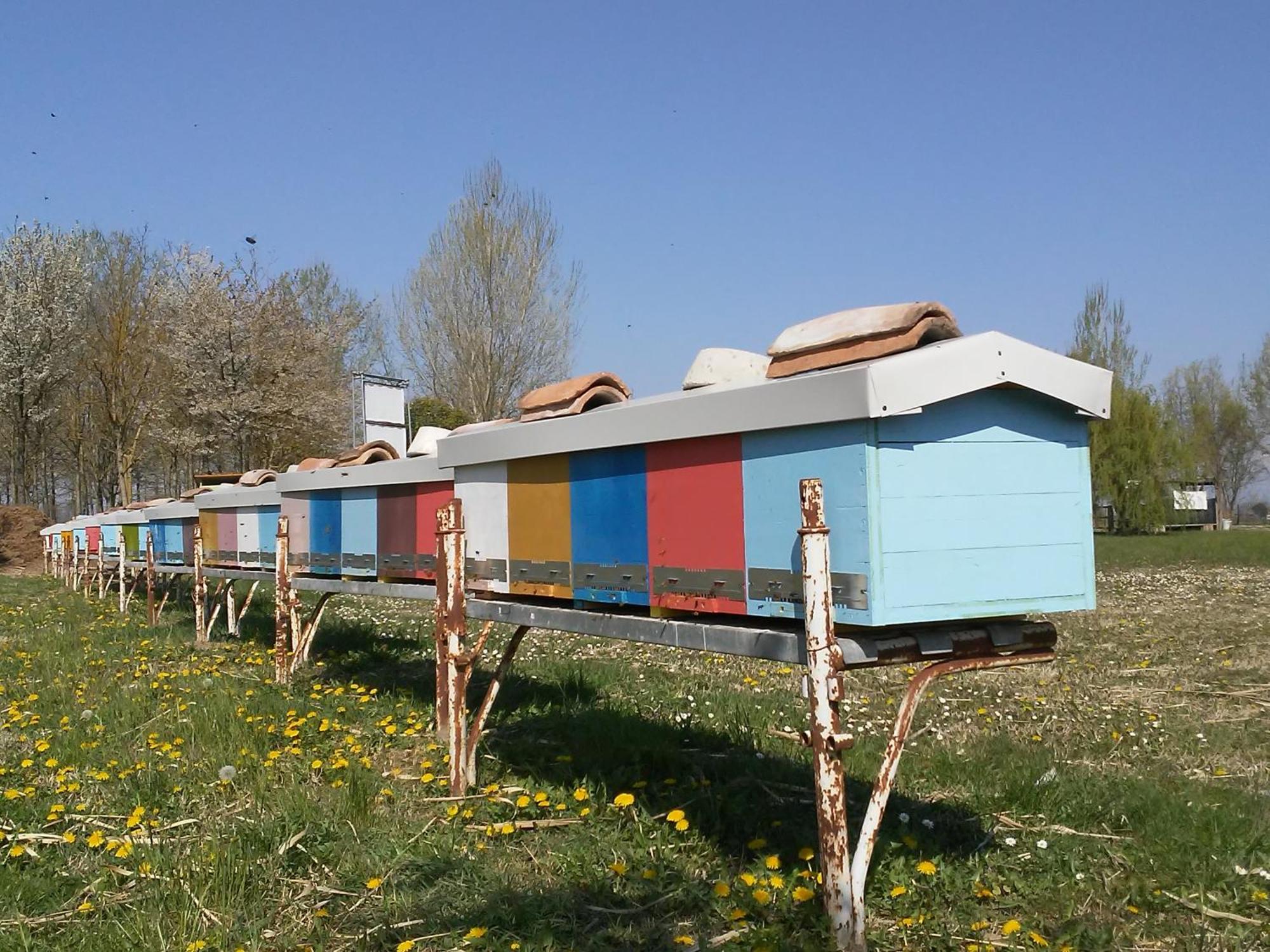 Antico Casale Dei Sogni Agriturismo ลูโก ภายนอก รูปภาพ