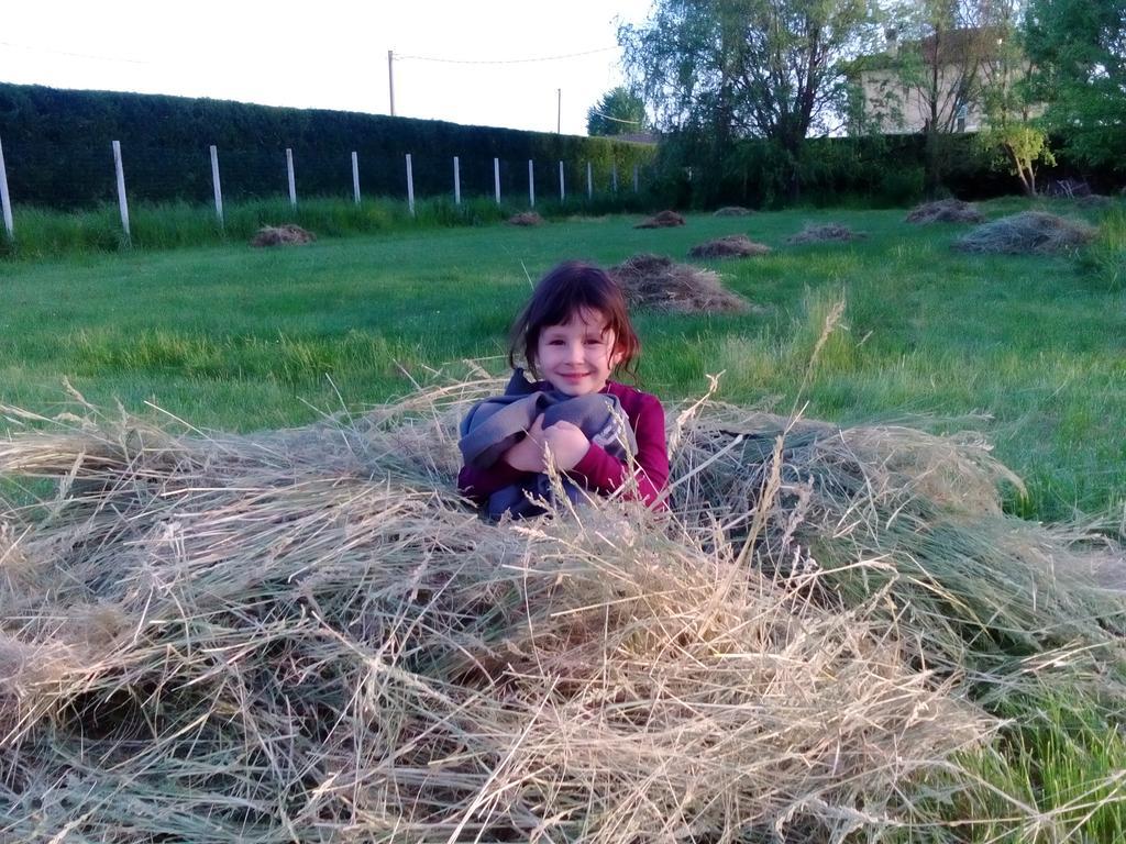 Antico Casale Dei Sogni Agriturismo ลูโก ภายนอก รูปภาพ