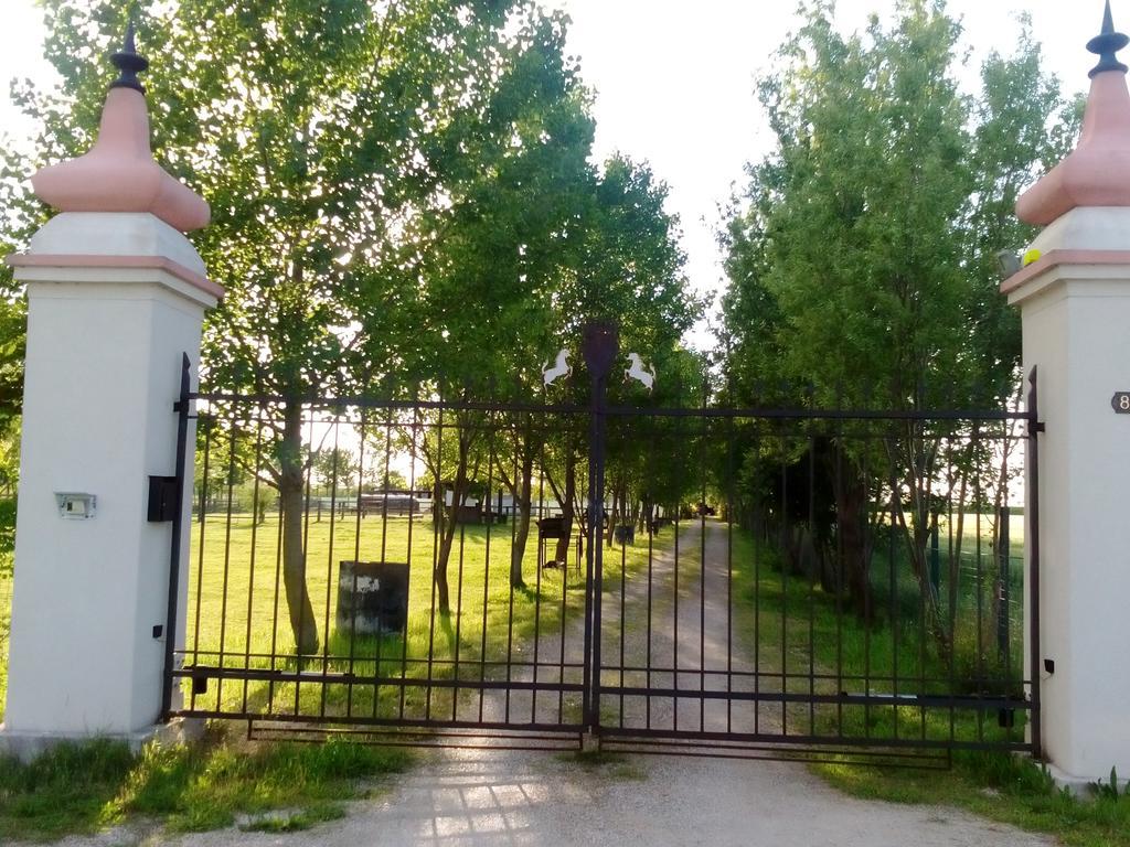 Antico Casale Dei Sogni Agriturismo ลูโก ภายนอก รูปภาพ