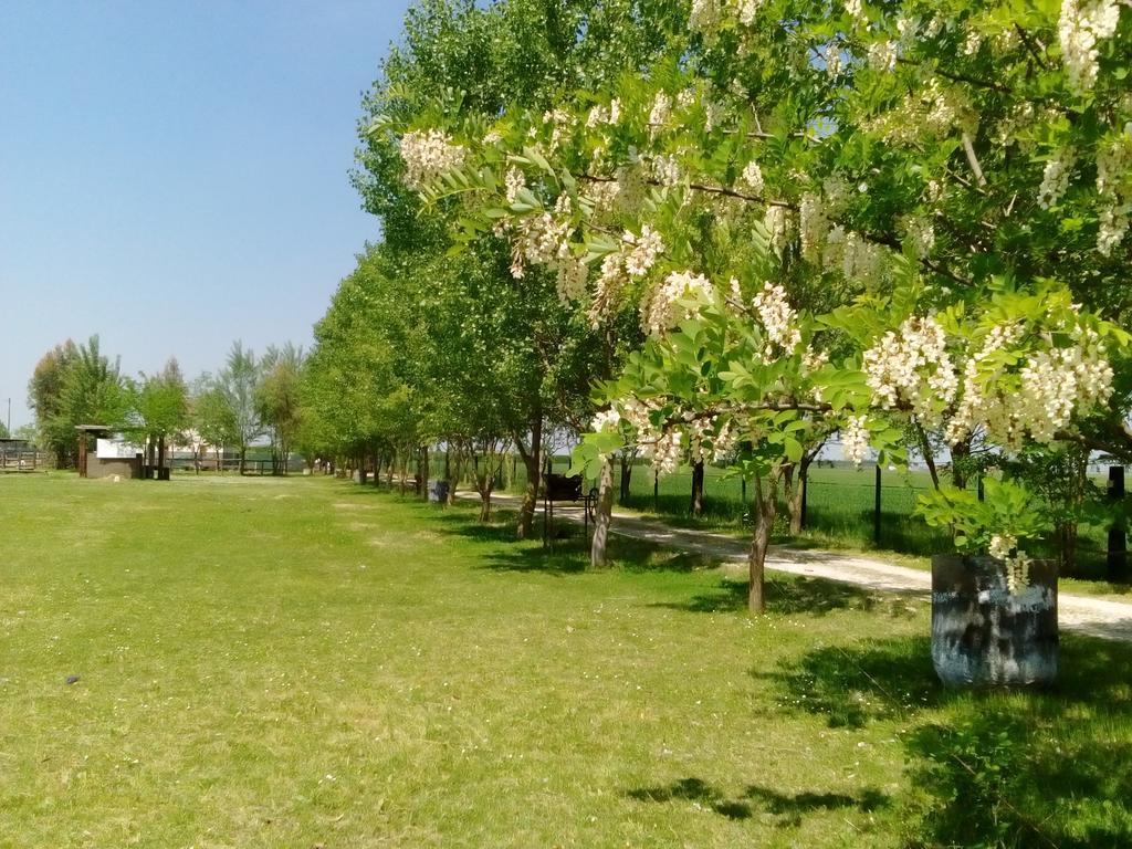 Antico Casale Dei Sogni Agriturismo ลูโก ภายนอก รูปภาพ