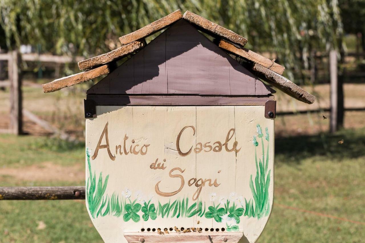 Antico Casale Dei Sogni Agriturismo ลูโก ภายนอก รูปภาพ