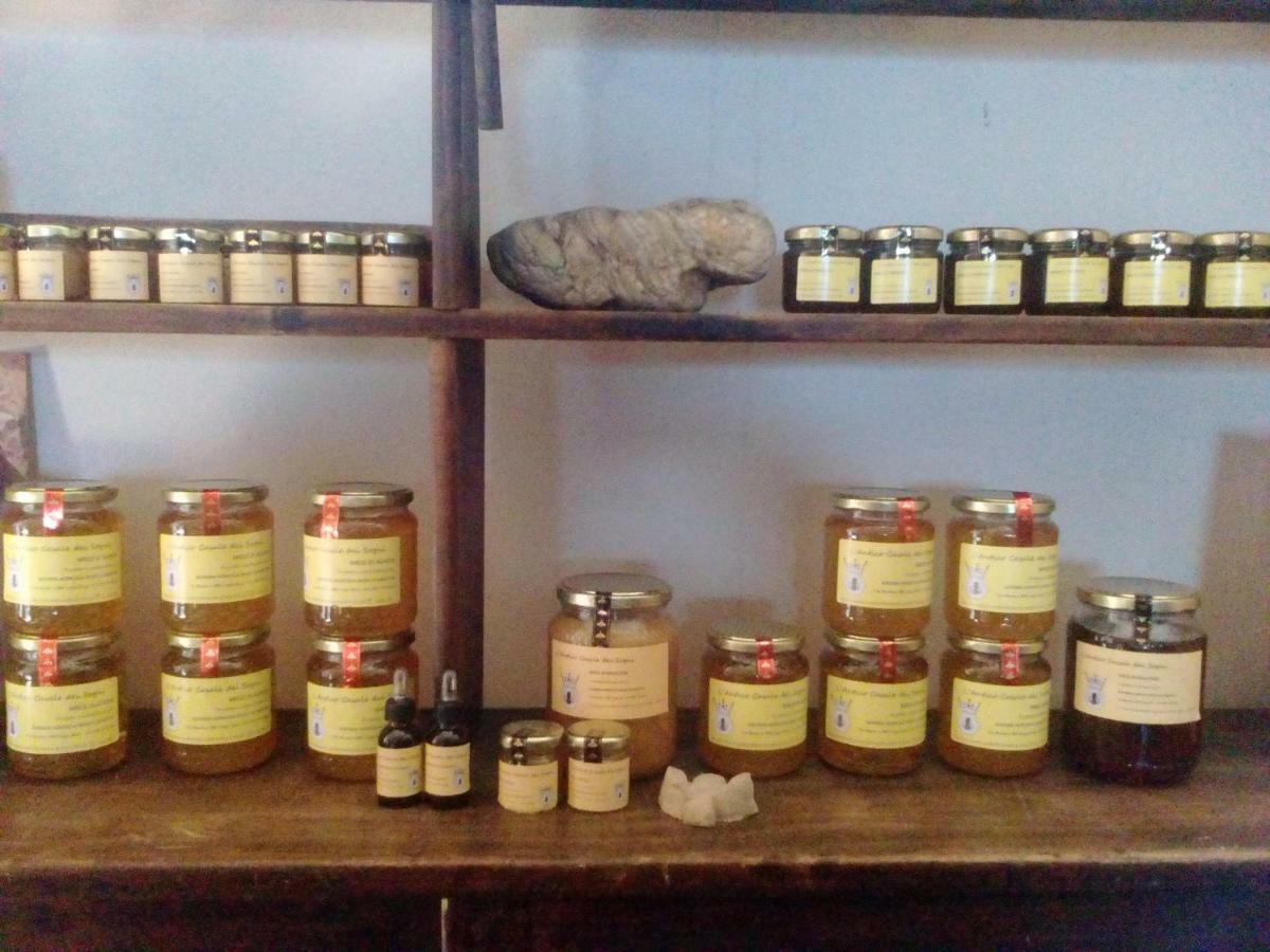 Antico Casale Dei Sogni Agriturismo ลูโก ภายนอก รูปภาพ